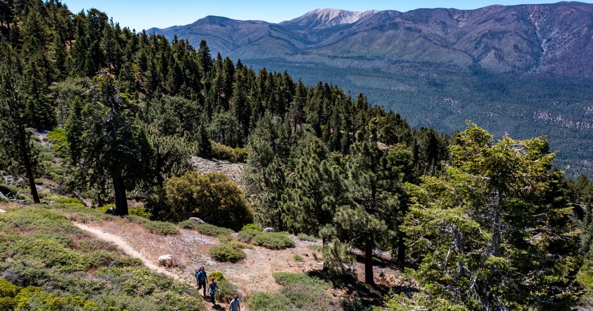 Mountain Meadows Recreation Complex